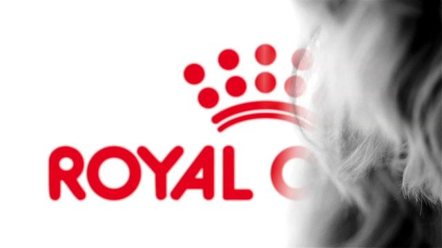 Nota que o seu cão se tem coçado ou lambido mais? 👀 Ele precisa da sua ajuda! Fale connosco para saber como uma gama nutricional adaptada pode ajudar o seu cão a recuperar o seu perfeito estado de saúde!

📎https://www.royalcanin.com/pt/dogs/products/dermatology 

#RoyalCanin_pt #hospitalveterinariodeaveiro #veterinarioaveiro #vetaveiro #aveiro #aveiroportugal #ilhavo #agueda #ptsquad🐶 #caesdeportugal #cãesdeportugal #caesdeaveiro #portuguesedogscommunity #petsportugal